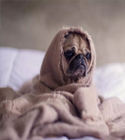 朝阳有这样的手机号码，留不住钱，你中枪了吗？