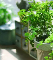 朝阳专属于你的开运指南，助你鸿运当头福满身！