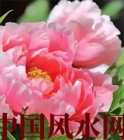 朝阳预示你财运上升，姻缘可成的梦境，快来看看吧！