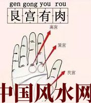 朝阳这个地方肉越多，财运就越好