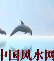 朝阳做梦梦到这些，是要富裕的征兆！